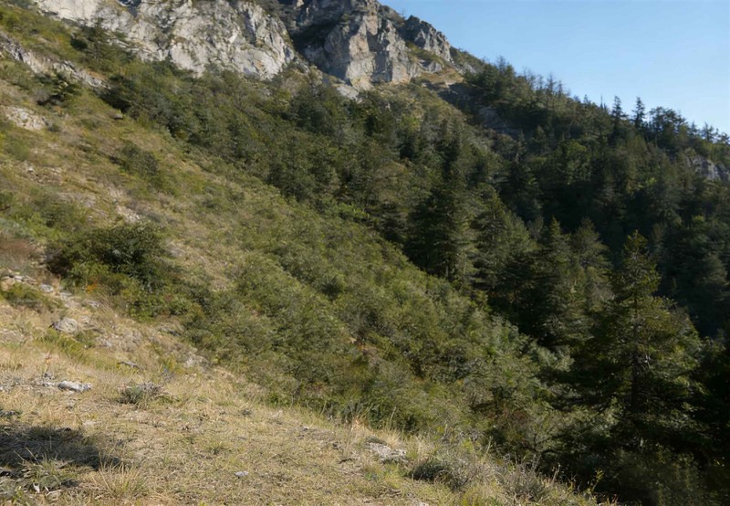 Covered Terrain Covered Terrain